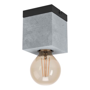 Eglo - Φωτιστικό οροφής 1xE27/40W/230V