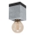 Eglo - Φωτιστικό οροφής 1xE27/40W/230V