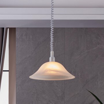 Eglo - Φωτιστικό οροφής 1xE27/60W/230V