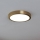 Eglo - Φωτιστικό οροφής LED LED/17W/230V διάμετρος 21 cm