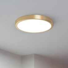 Eglo - Φωτιστικό οροφής LED LED/20,5W/230V διάμετρος 28,5 cm