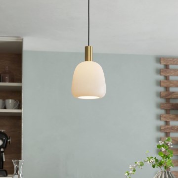 Eglo - Φωτιστικό οροφής με καλώδιο 1xE27/40W/230V