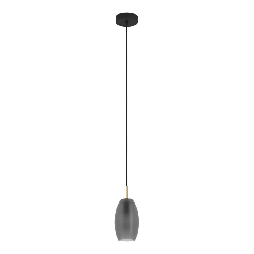 Eglo - Φωτιστικό οροφής με καλώδιο 1xE27/40W/230V