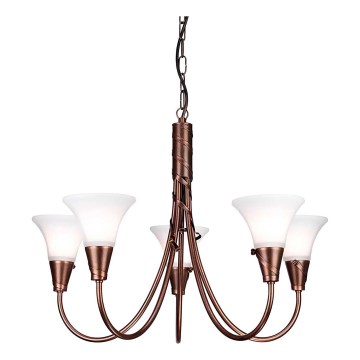 Elstead - Κρεμαστό φωτιστικό οροφής EMILY 5xE14/40W/230V