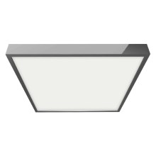 Emithor 49029 - Φως οροφής μπάνιου LED LENYS 1xLED/12W/230V 140 mm IP44