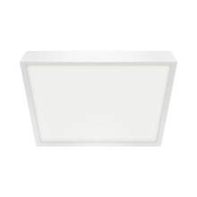 Emithor 49039 - LED Φως οροφής μπάνιου LENYS LED /12W / 230V IP44