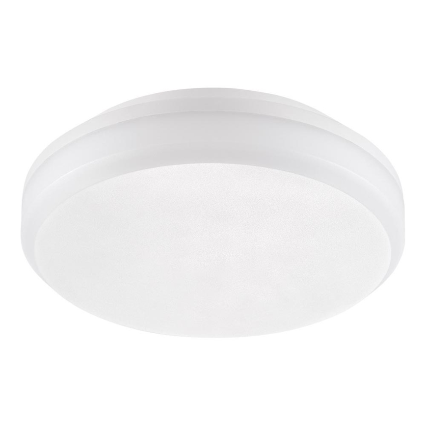 Emithor 63207 - LED Φωτιστικό εργασίας οροφής SURFACE 1xLED/30W/230V IP65