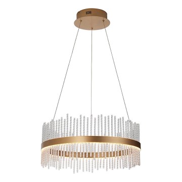 Endon 107671 - Led Dimmable κρεμαστό φωτιστικό οροφής ADRIEL LED/41W/230V 3000K διάμετρος 51 cm χρυσό/διαφανές