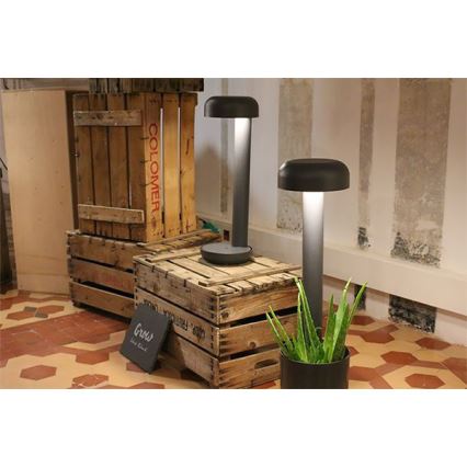 FARO 71206 - Εξωτερικό φωτιστικό GROW LED/9W/230V IP65