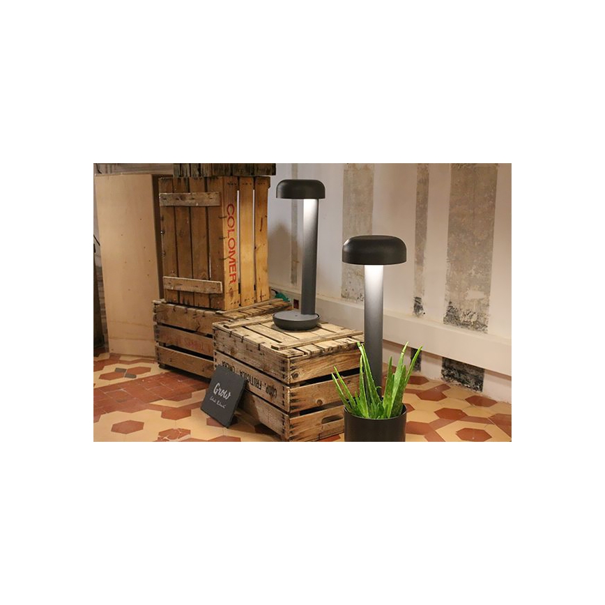 FARO 71206 - Εξωτερικό φωτιστικό GROW LED/9W/230V IP65