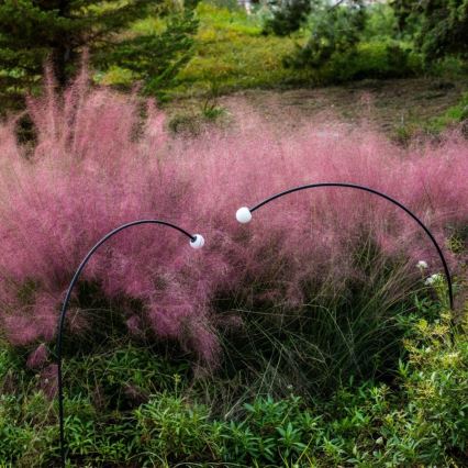 FARO 75562 - Φωτιστικό LED εξωτερικού χώρου CUCA LED/3W/24V 119,3 cm IP65 ανθρακί