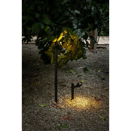 FARO 75570 - Φωτιστικό LED εξωτερικού χώρου BROT LED/7W/230V 20 cm IP65