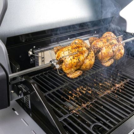 Fieldmann - Σούβλα για ψησταριά με μοτέρ 230V από ανοξείδωτο χάλυβα