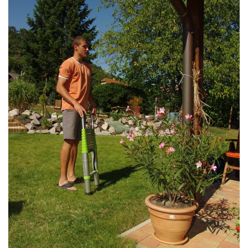 Fieldmann - Τηλεσκοπική σκάλα 3,8 m