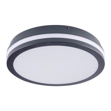 Φως εξωτερικού χώρου LED BENO LED/24W/230V IP54 ανθρακίτης