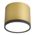 Φως οροφής LED TUBA LED/9W/230V
