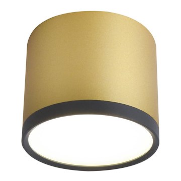 Φως οροφής LED TUBA LED/9W/230V