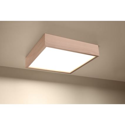 Φως οροφής MADERA 3xE27/60W/230V