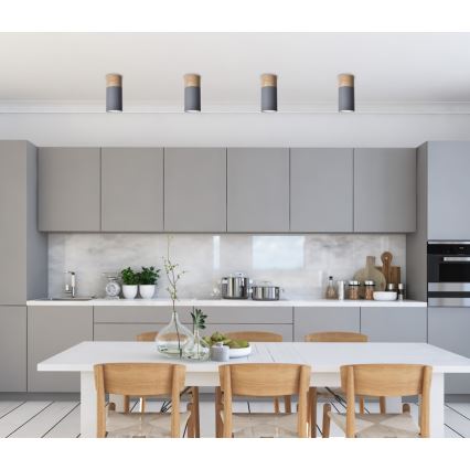 Φως οροφής TUBA GU10/15W/230V