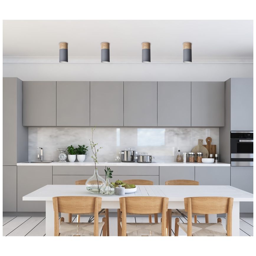 Φως οροφής TUBA GU10/15W/230V