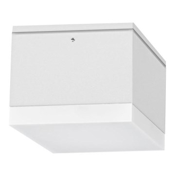 Φως οροφής εξωτερικού χώρου LED BRUNO LED/10W/230V IP54