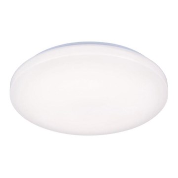 Φως οροφής LED OPAL LED/50W/176-264V