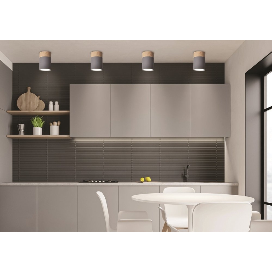 Φως οροφής TUBA GU10/15W/230V