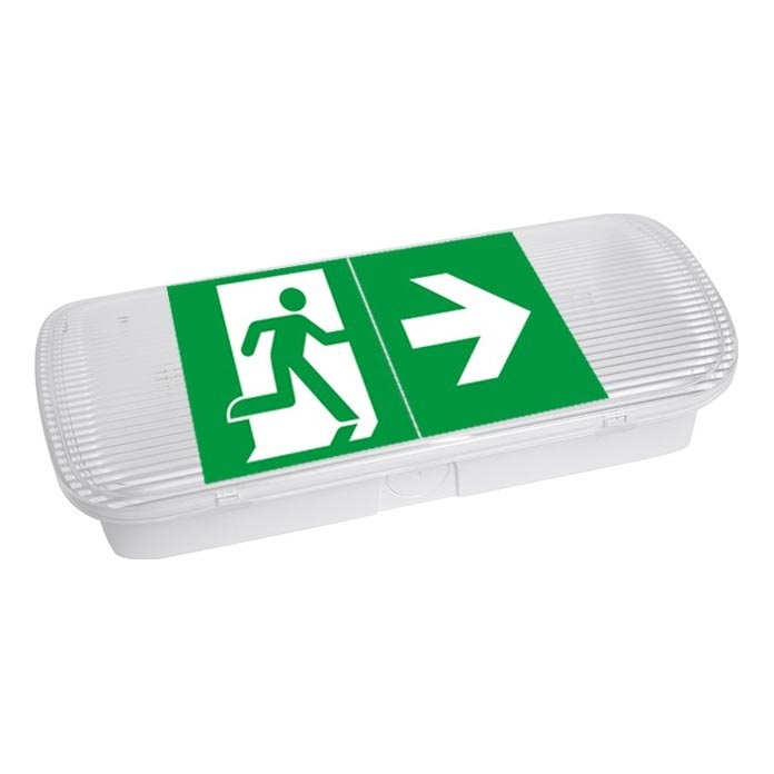 Φωτιστικό ασφαλείας LED VIRGO EVO LED/1W/230V 6000K IP65