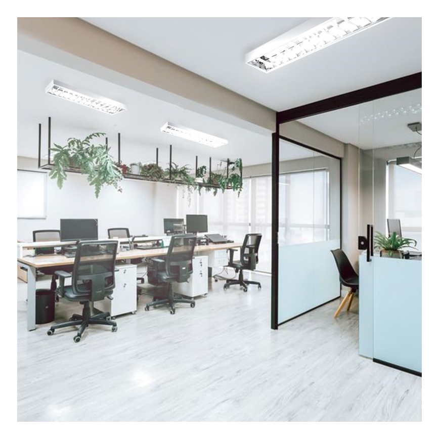 Φωτιστικό φθορίου T8 2xG13/18W/230V 120 cm λευκό