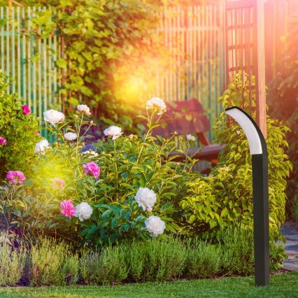 Φωτιστικό LED εξωτερικού χώρου AMY LED/12W/230V 100 cm IP44 μαύρο