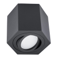 Φωτιστικό σποτ ARENO 1xGU10/30W/230V μαύρο