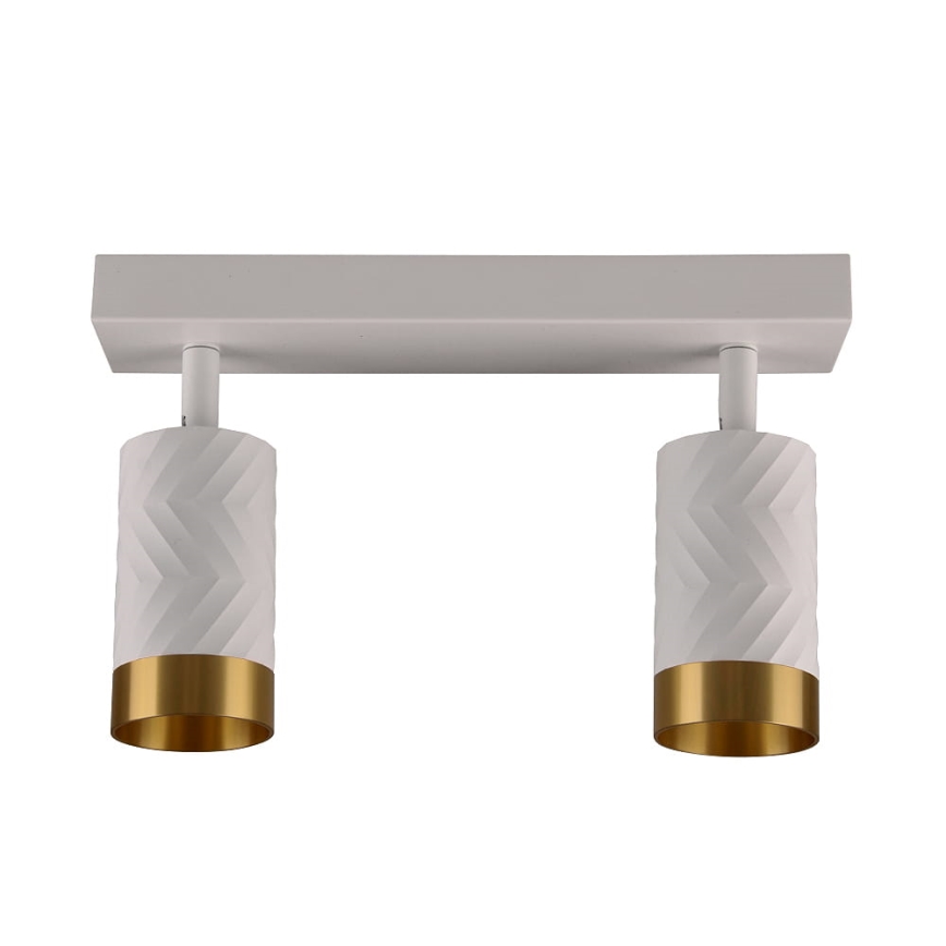 Φωτιστικό σποτ ARRAS 2xGU10/10W/230V λευκό