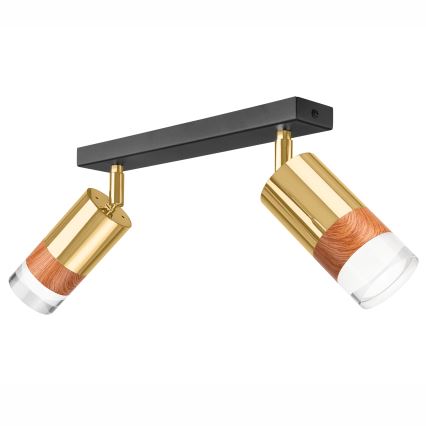 Φωτιστικό σποτ AURORA 2xGU10/10W/230V