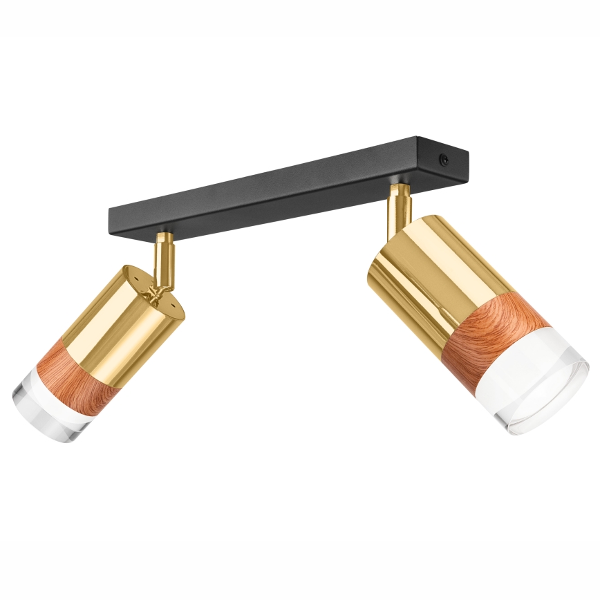 Φωτιστικό σποτ AURORA 2xGU10/10W/230V