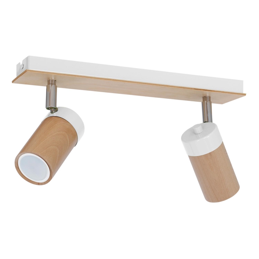 Φωτιστικό σποτ BARON 2xGU10/8W/230V