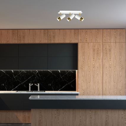 Φωτιστικό σποτ DANI 3xGU10/8W/230V