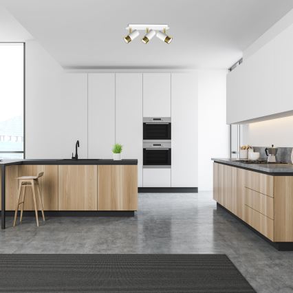 Φωτιστικό σποτ DANI 3xGU10/8W/230V