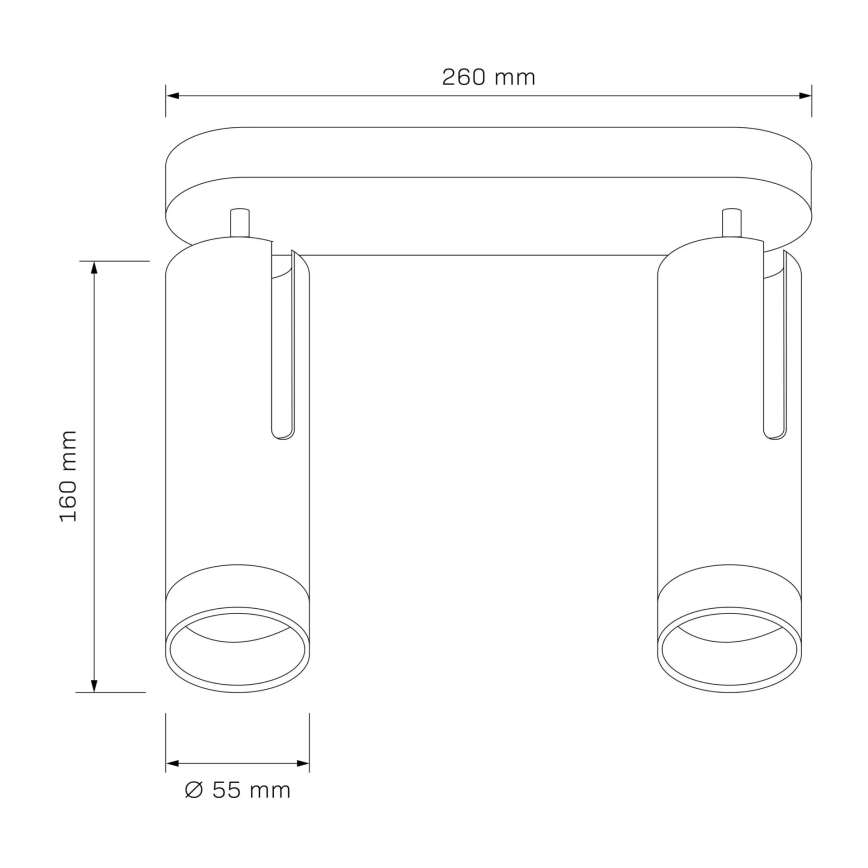 Φωτιστικό σποτ FADO 2xGU10/10W/230V λευκό