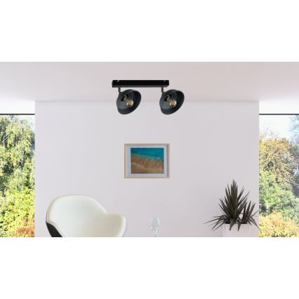 Φωτιστικό σποτ FAUN 2xE27/60W/230V μαύρο