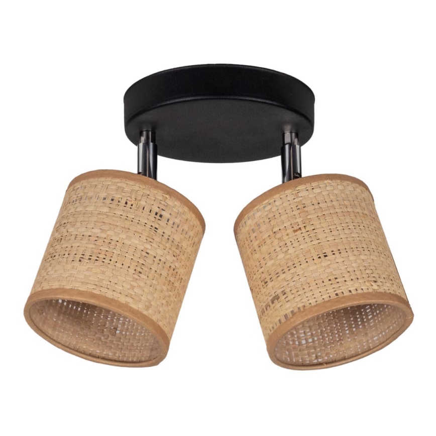 Φωτιστικό σποτ IRMA 2xE14/40W/230V