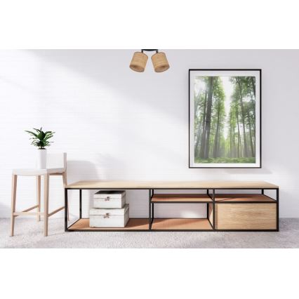 Φωτιστικό σποτ IRMA 2xE14/40W/230V