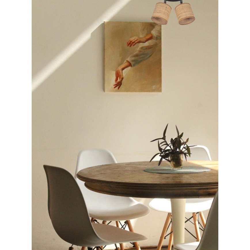 Φωτιστικό σποτ IRMA 2xE14/40W/230V