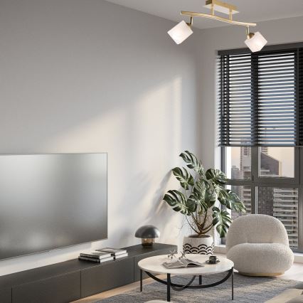 Φωτιστικό σποτ KLARA 2xE14/40W/230V χρυσό