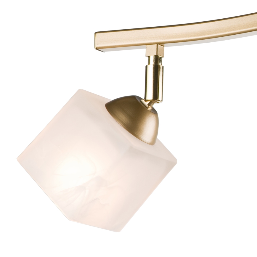 Φωτιστικό σποτ KLARA 2xE14/40W/230V χρυσό