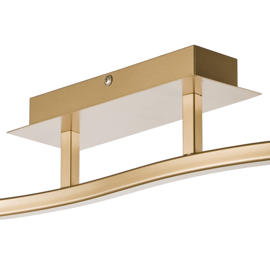Φωτιστικό σποτ KLARA 2xE14/40W/230V χρυσό
