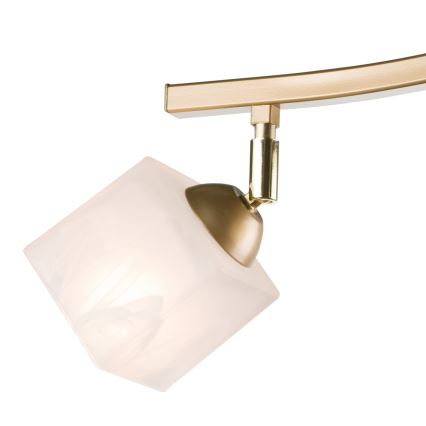 Φωτιστικό σποτ KLARA 3xE14/40W/230V χρυσό