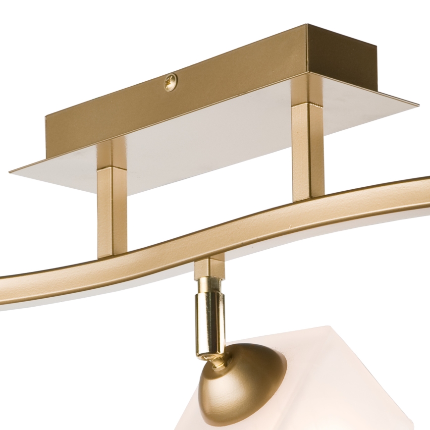 Φωτιστικό σποτ KLARA 3xE14/40W/230V χρυσό