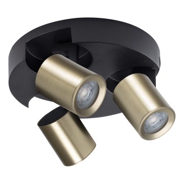 Φωτιστικό σποτ LAURIN 3xGU10/10W/230V ορείχαλκος/μαύρο