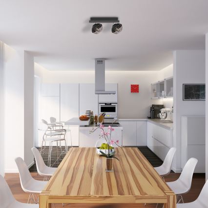 Φωτιστικό σποτ LOGAN 2xE14/40W/230V