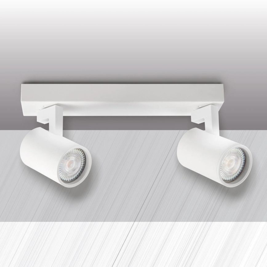 Φωτιστικό σποτ LYNX 2xGU10/10W/230V λευκό